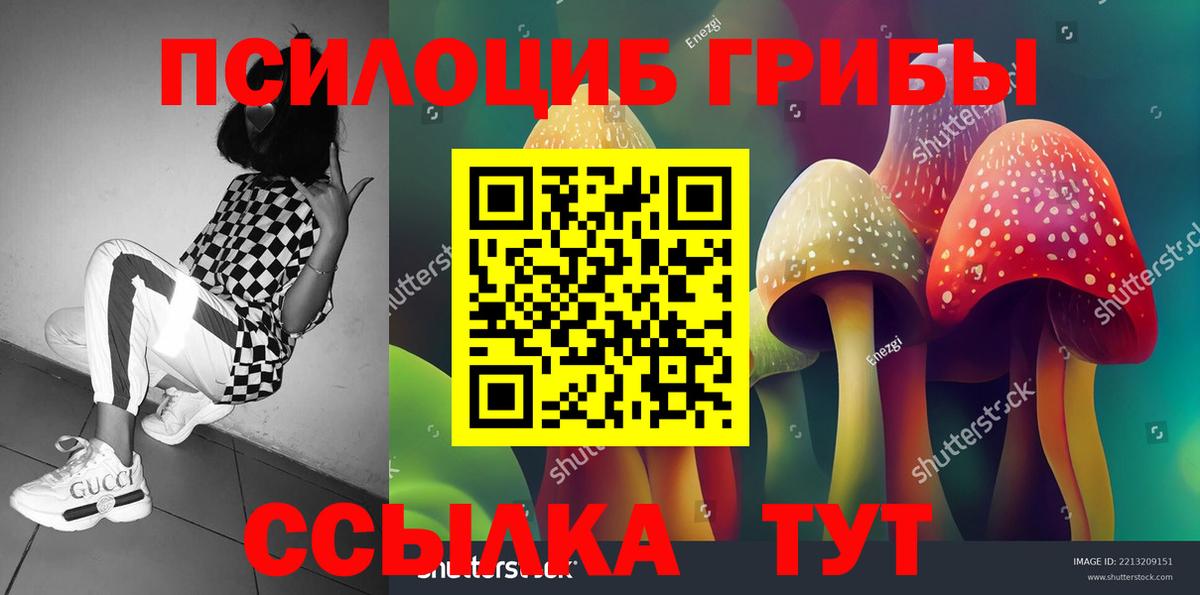 где купить   Галлюциногенные грибы ЛСД  Вход с VPN  Галлюциногенные грибы Psilocybine cubensis  Егорьевск 